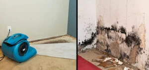 Understanding Different Types of Water Damage And How To Deal With Them